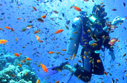 Scuba Diving Andaman