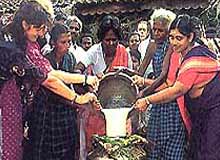 Pongal