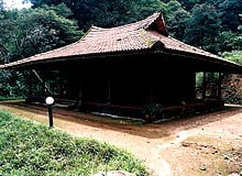 Calicut Wayanad Tour