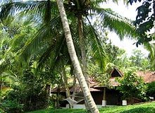 Kerala Ayurveda Tour