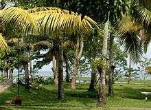Kumarakom Culinary Tour