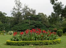 Bangalore Museum Photos