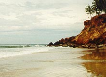 Tourist Attractions in Kerala 