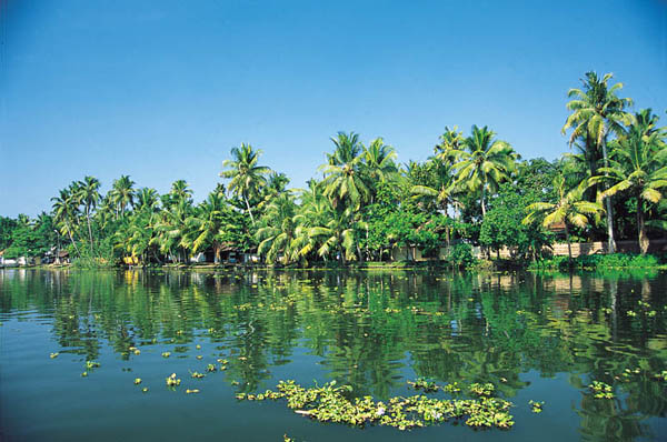 Scenery Of Kerala