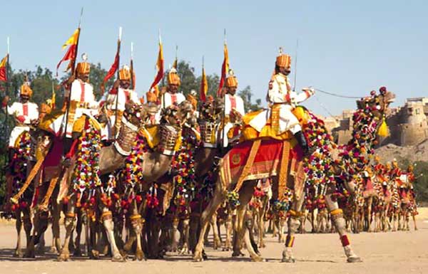 Camel Parade