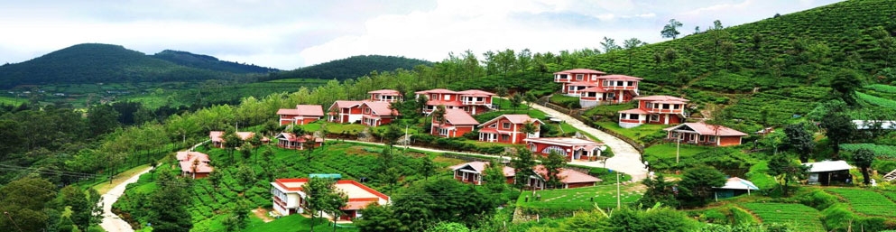 Ooty Tour Packages Ooty Holiday Packages 6169