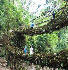 Cherrapunji