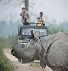 Kaziranga