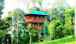 Wayanad Tour with Vythiri Treehouse