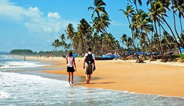 North and South Goa Tour