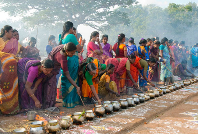 photo-gallery-of-pongal-fairs-and-festivals-in-andhra-pradesh