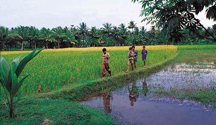 Kerala Culture,Kerala Culture and Cuisine Tours,Kerala Photo Gallery ...