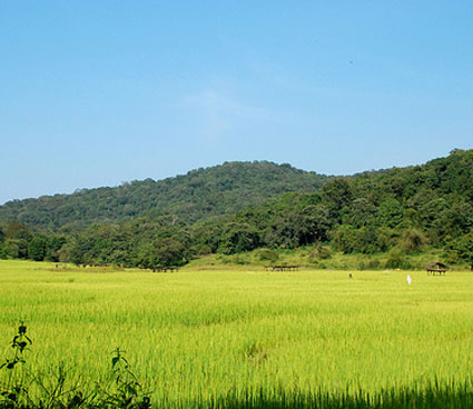 Anshi National Park Karnataka