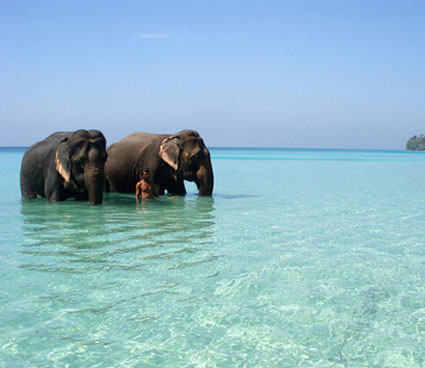 Campbell Bay National Park, Andaman and Nicobar