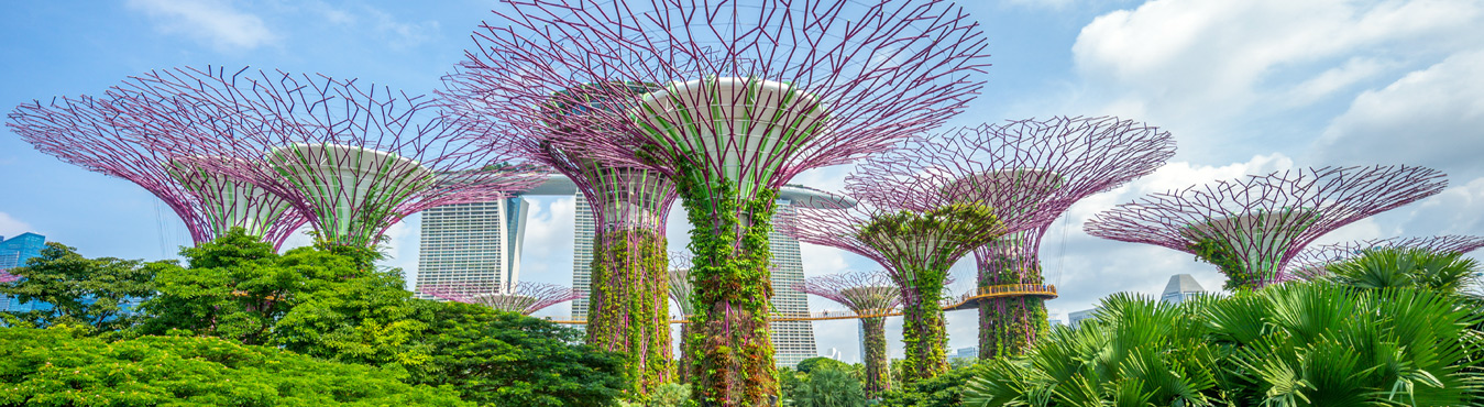 Gardens By the Bay in Singapore