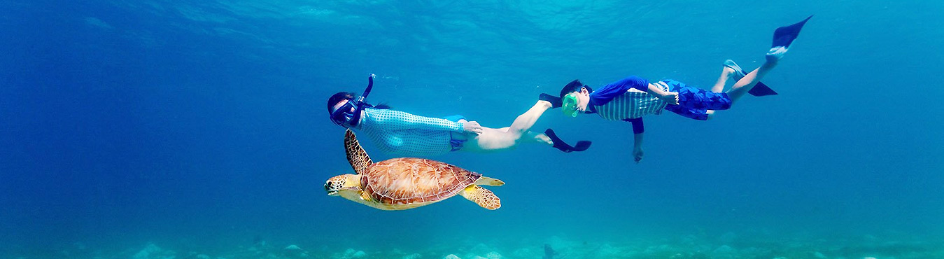 Maldives Snorkeling