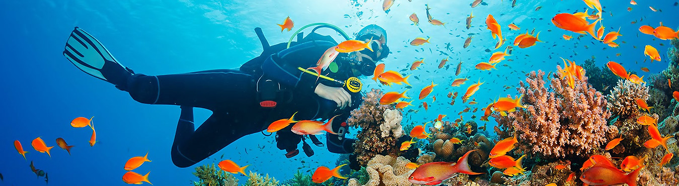 Scuba Diving in Thailand