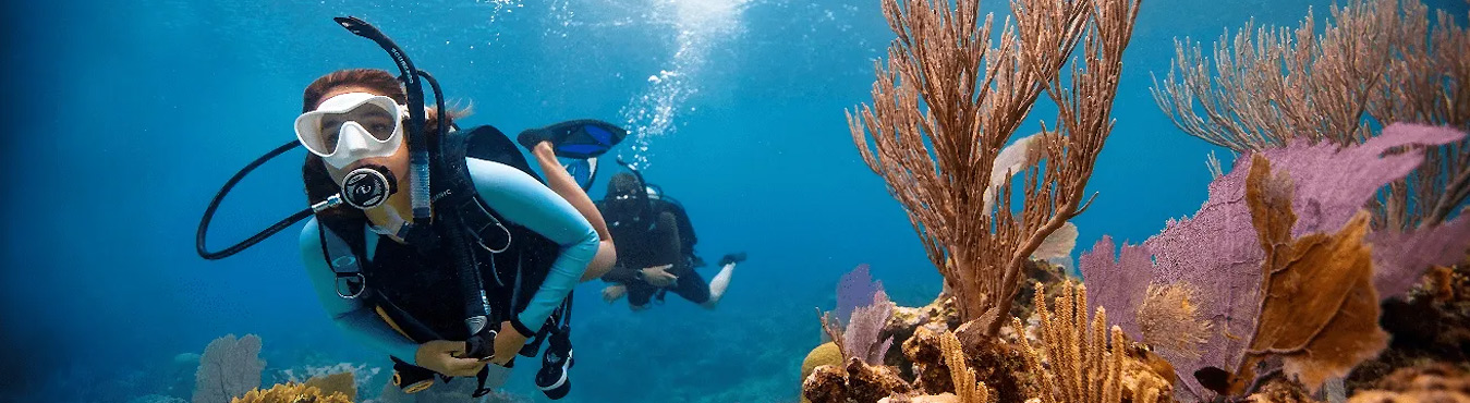 Mauritius in Scuba Diving