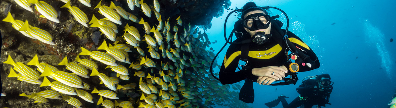 Scuba Diving in Maldives