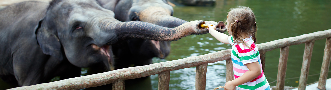 Singapore Zoo