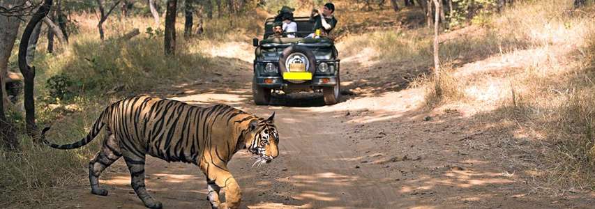 Jim Corbett