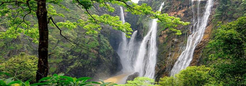 Jog Falls