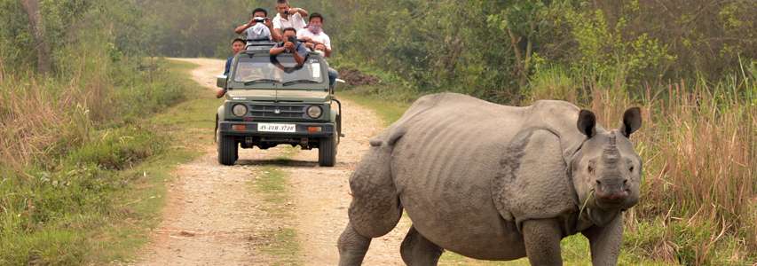 Kaziranga National Park