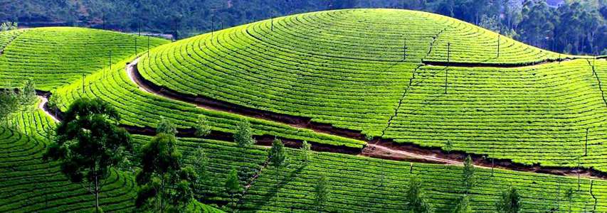 Munnar