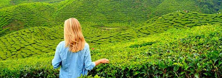 Munnar