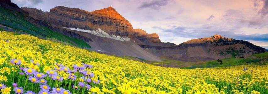 Valley of Flowers