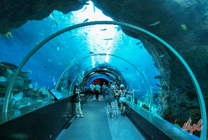 Aquarium in singpore