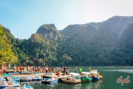 Langkawi Mangrove