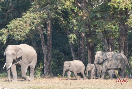 dooars national park