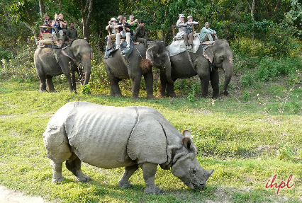 Jim Corbett National Park