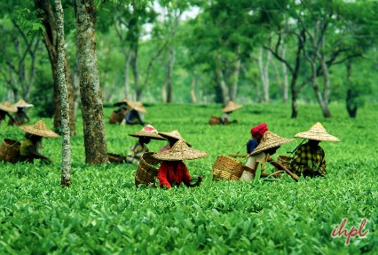 Kalimpong Town in West Bengal