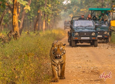 Kaziranga National Park Assam