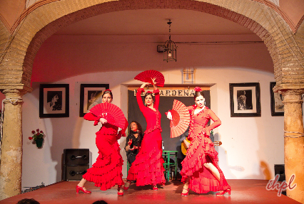 impressive Flamenco Show