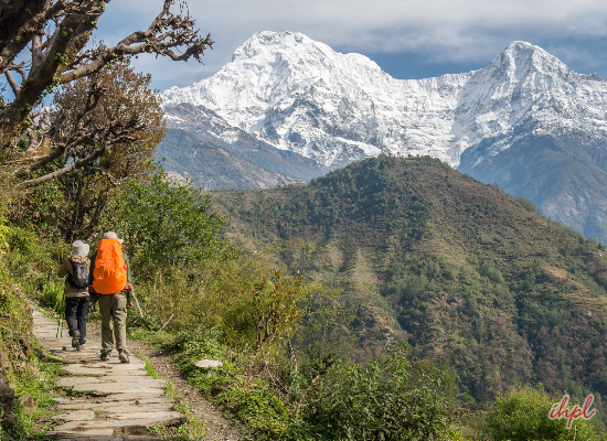 Machapucchare Base Camp