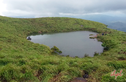 wayanad tour vythiri treehouse