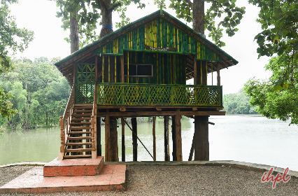 wayanad tour vythiri treehouse