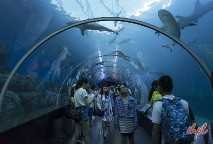 singapore underwater aquarium