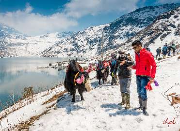 Yumthang Valley in Sikkim