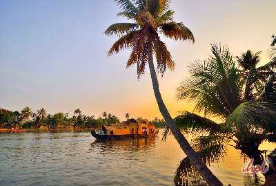 Backwater Luxury Tour of Kerala