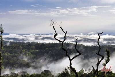 South India Hill Stations Tour