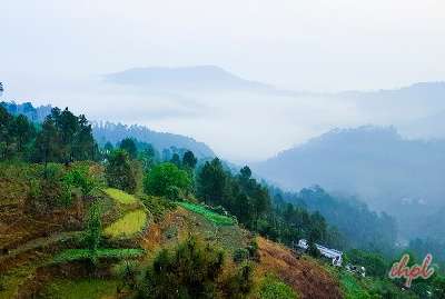 Mussoorie Nainital Corbett Kausani Tour