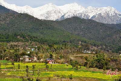 Heavenly Himachal Tour