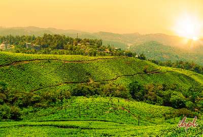 6 Days Kerala Tour from Bangalore