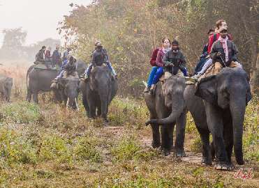 Angling Tour of Northeast