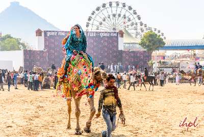 Pushkar Fair Tour