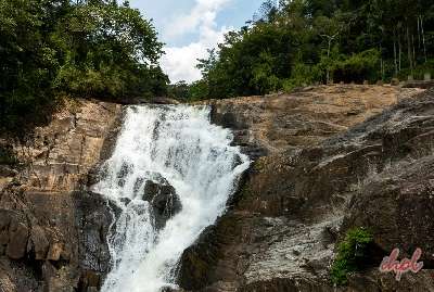 Short Tour of Wayanad